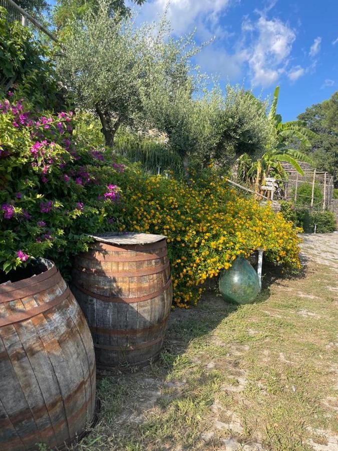 B&B Sunset Ercolano Exterior photo