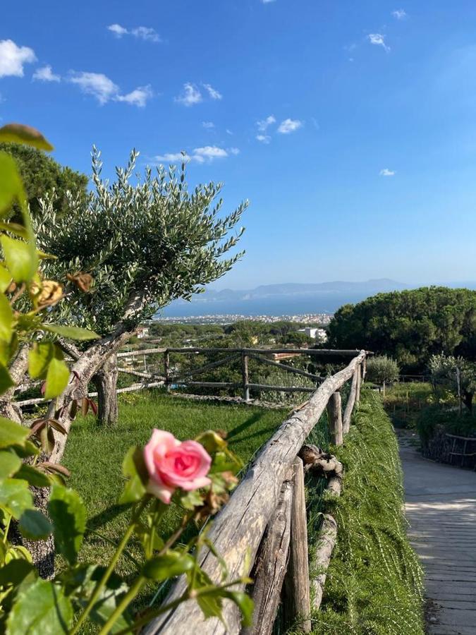 B&B Sunset Ercolano Exterior photo